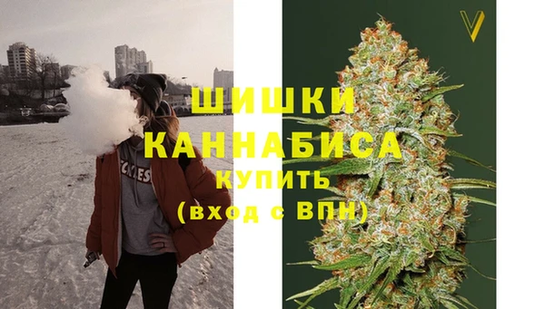 молекула духа Осинники