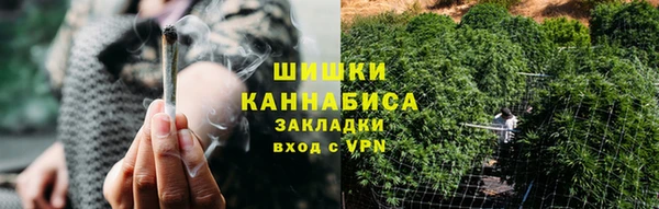 молекула духа Осинники
