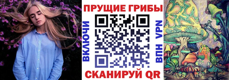 Псилоцибиновые грибы Psilocybe  Купить где  Городец 